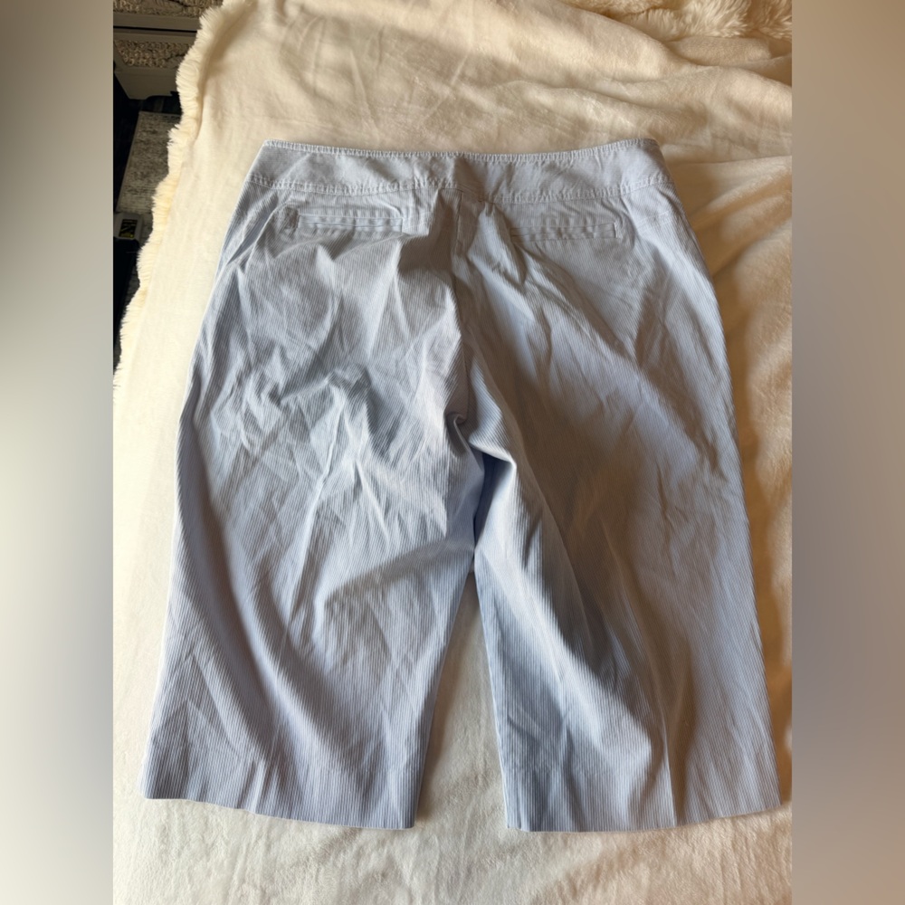 Rafaella Bermuda Shorts Womens 18W Blue Stripe Cotton Stretch - Picture 6 of 11